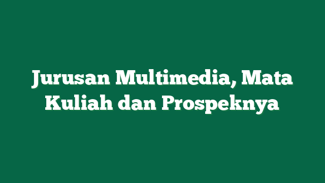 Jurusan Multimedia, Mata Kuliah dan Prospeknya