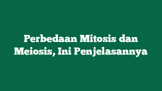 Perbedaan Mitosis dan Meiosis, Ini Penjelasannya