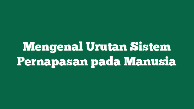 Mengenal Urutan Sistem Pernapasan pada Manusia