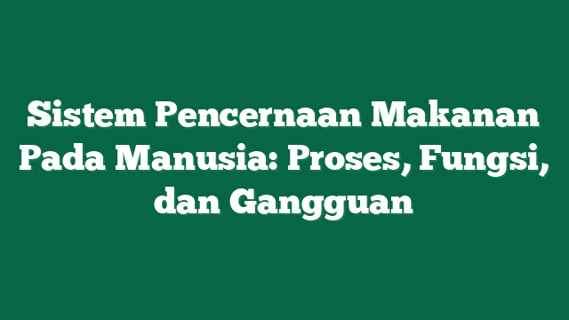 Sistem Pencernaan Makanan Pada Manusia: Proses, Fungsi, dan Gangguan