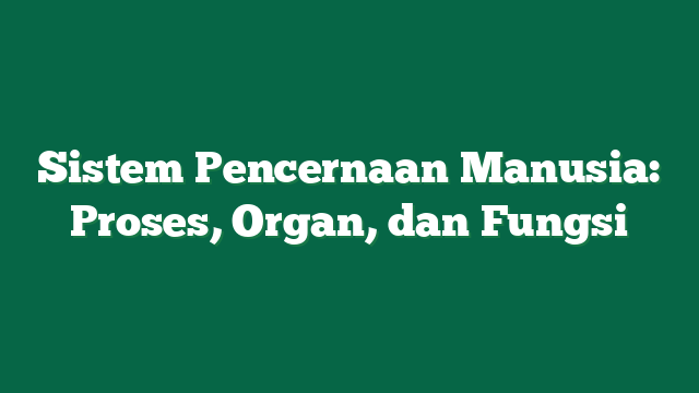Sistem Pencernaan Manusia: Proses, Organ, dan Fungsi
