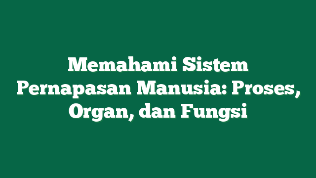 Memahami Sistem Pernapasan Manusia: Proses, Organ, dan Fungsi