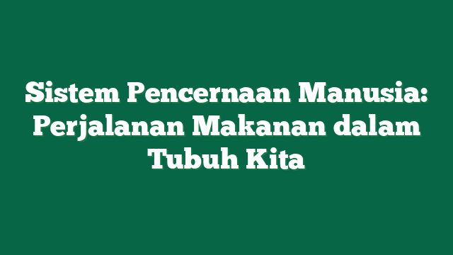 Sistem Pencernaan Manusia: Perjalanan Makanan dalam Tubuh Kita