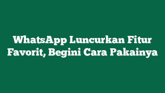 WhatsApp Luncurkan Fitur Favorit, Begini Cara Pakainya