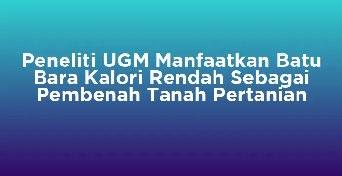Featured image for Peneliti UGM Manfaatkan Batu Bara Kalori Rendah Sebagai Pembenah Tanah Pertanian