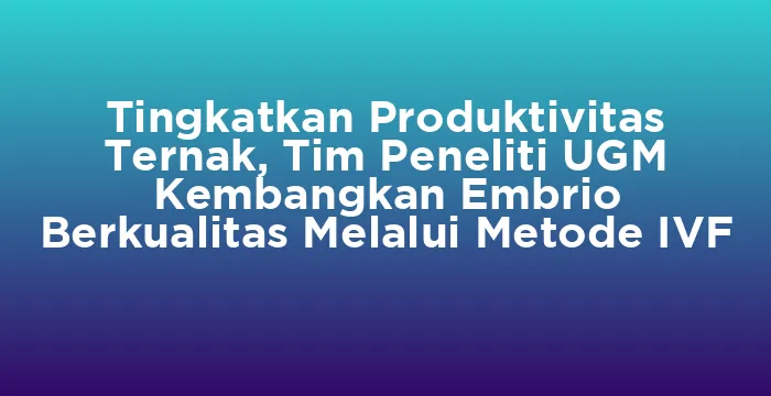 Featured image for Tingkatkan Produktivitas Ternak, Tim Peneliti UGM Kembangkan Embrio Berkualitas Melalui Metode IVF