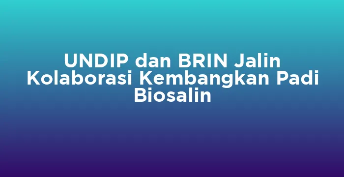 Featured image for UNDIP dan BRIN Jalin Kolaborasi Kembangkan Padi Biosalin