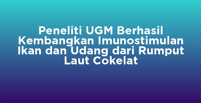 Featured image for Peneliti UGM Berhasil Kembangkan Imunostimulan Ikan dan Udang dari Rumput Laut Cokelat