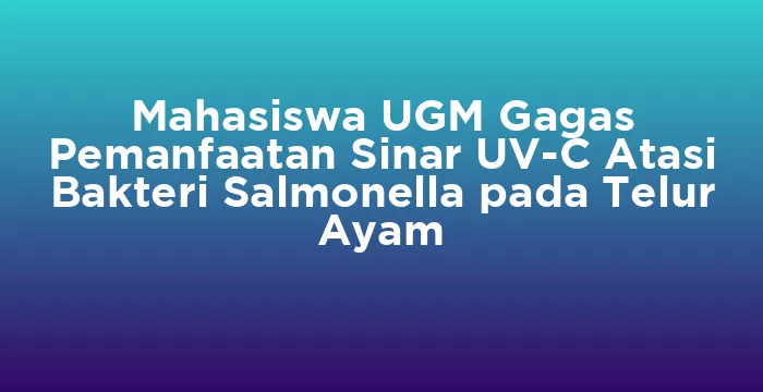 Featured image for Mahasiswa UGM Gagas Pemanfaatan Sinar UV-C Atasi Bakteri Salmonella pada Telur Ayam