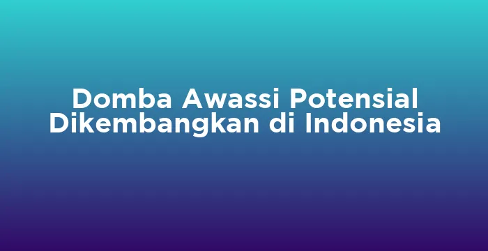 Featured image for Domba Awassi Potensial Dikembangkan di Indonesia