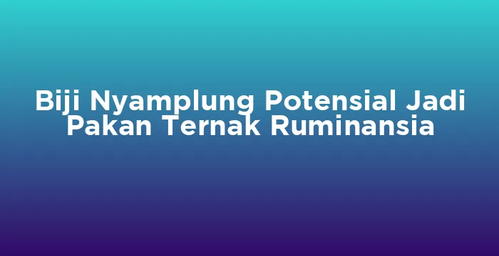 Featured image for Biji Nyamplung Potensial Jadi Pakan Ternak Ruminansia